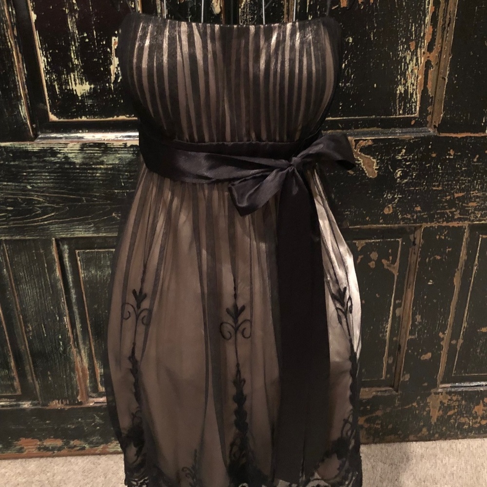 Nude/Black S.L. Fashions Lace Dress